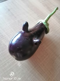 Рогатый баклажан из Благовещенска