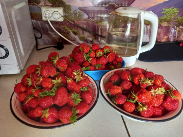 Северная клубника из Тутаула