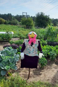 Зеленый рай с огородной красавицей из Костюковки