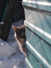 Соня, г. Райчихинск