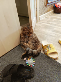 Фрей из солнечного Благовещенска :)