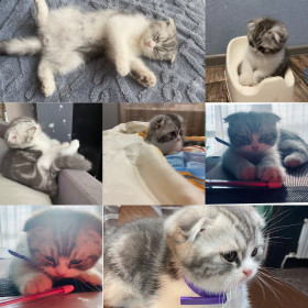 Кову, село Ивановка