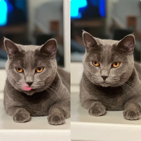 Лекса, г. Благовещенск