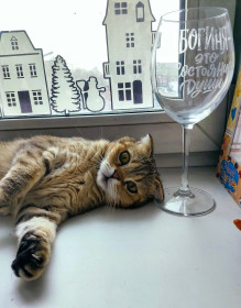 Ханна, г. Благовещенск