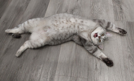 Мирослава Павловна, г. Благовещенск