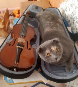 Туся, с. Чигири