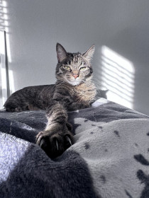 Мурёна, г. Зея