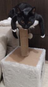 Семён, г. Благовещенск