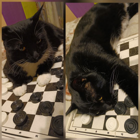 Григорий из Благовещенска