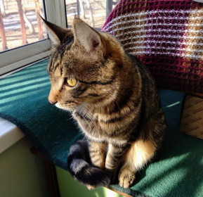 Филя, г. Благовещенск