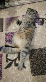 Муся, с. Овсянка