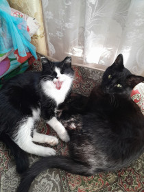 Сонита, г. Благовещенск