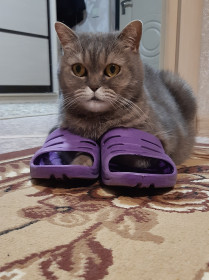 Маша, г. Благовещенск