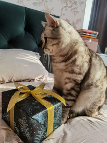 Михаил, г. Благовещенск