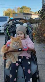 Мухтар, г. Благовещенск