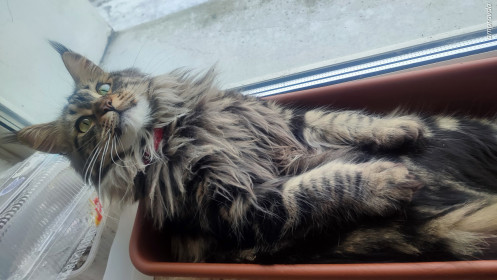 Хильда, с. Архара