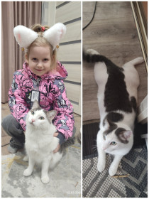 Мурзик, г. Благовещенск