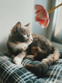 Елизавета, г. Благовещенск