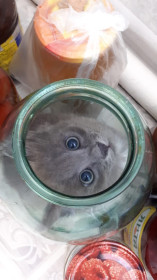 Муся, с. Тамбовка