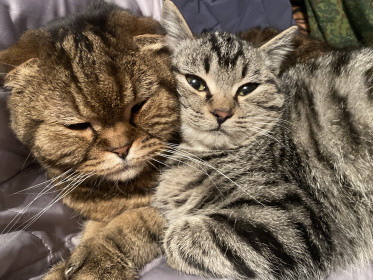 Гуч и Нюша, с. Касаткино