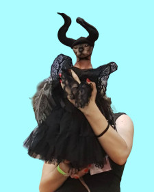 Milady, г. Хабаровск