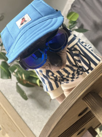 Бармалей, г. Хабаровск