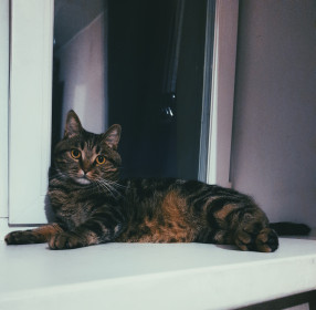 Мару, г. Благовещенск