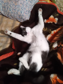 Маруся, г. Благовещенск