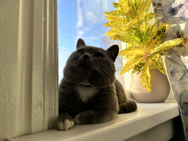 Мыш ❤️, с. Чуевка, Тамбовский округ