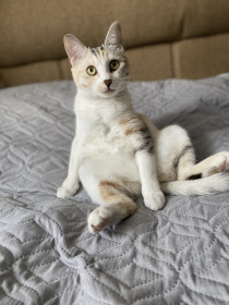 Китя, г. Сковородино