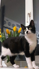 Куся, г. Благовещенск