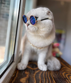 Беляш, г. Благовещенск