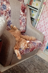 Тимофей, с. Соловьёвск