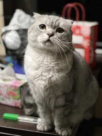 Мурза, с. Владимировка