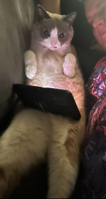 Бублик, г. Благовещенск