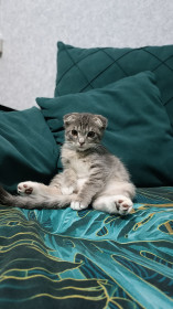 Томас, с. Чигири