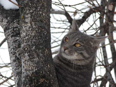 Лариса, с. Ракитное, Хабаровский край