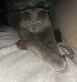 Жорик, г. Благовещенск