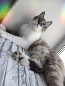 Макс, п. Архара