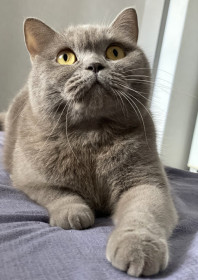 Милка, г. Благовещенск