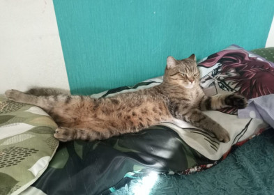 Маркус, пгт Серышево