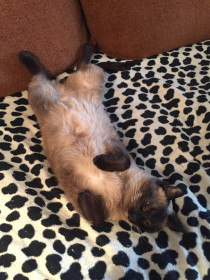 Марсик. пгт. Прогресс