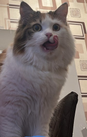 Хлопа, с. Тыгда