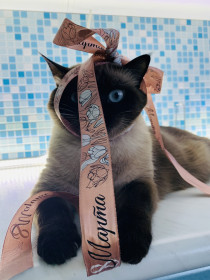 Сима, с. Соловьёвск