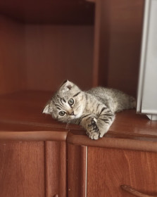 Семён, село Козьмодемьяновка