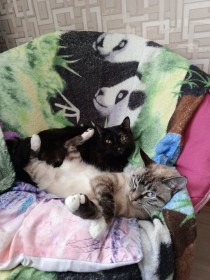 Адель и её дочь Няша, г. Благовещенск