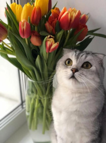 Сын, г. Благовещенск