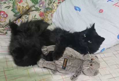 Басик, пгт Новобурейский