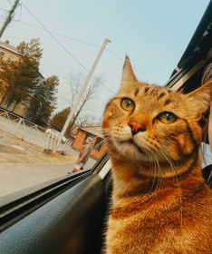 Ричи, г. Завитинск