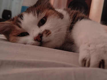 Мурка, с. Владимировка